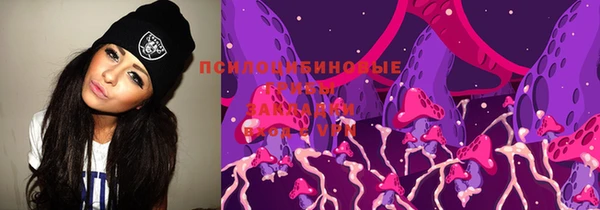стафф Киренск