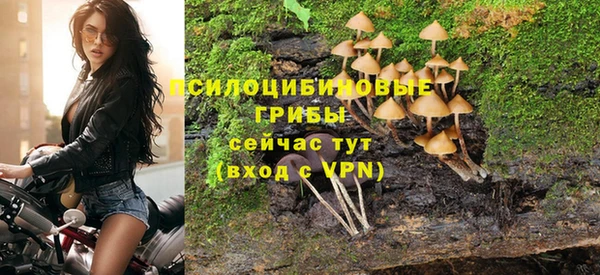 a pvp Кинешма