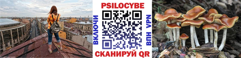 Галлюциногенные грибы Psilocybe  Талдом 